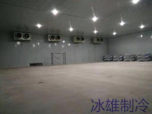 冷庫設(shè)備如何重要，改如何正確的維修呢？